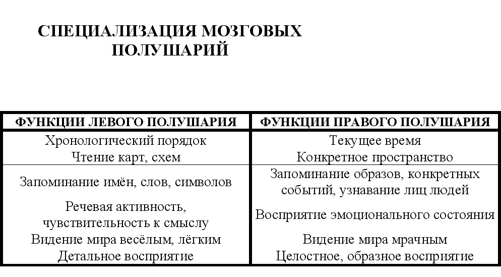 Специализация мозговых полушарий